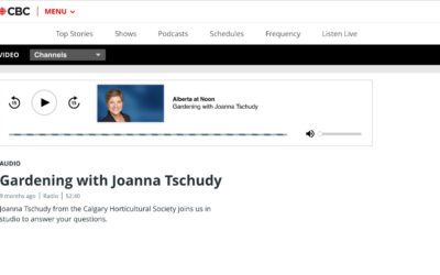 June 28th: CBC, AB at Noon